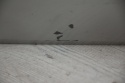 KLAPA TYLNA TYŁ HONDA ACCORD VIII KOMBI NH743M