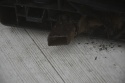 WZMOCNIENIE PAS PRZEDNI AUDI A5 8T