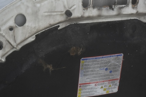 MASKA POKRYWA SILNIKA LANCIA YPSILON III 268/A