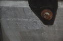 WZMOCNIENIE PAS PRZEDNI BMW 1 F20 F21